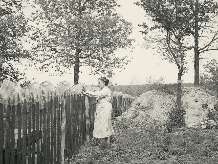 A woman sets canning jars to dry on a picket fence