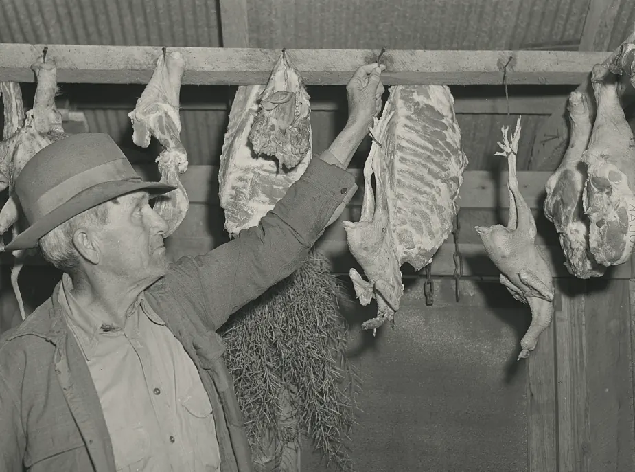 A farmer reaches up to cuts of meat hanging in a store shed